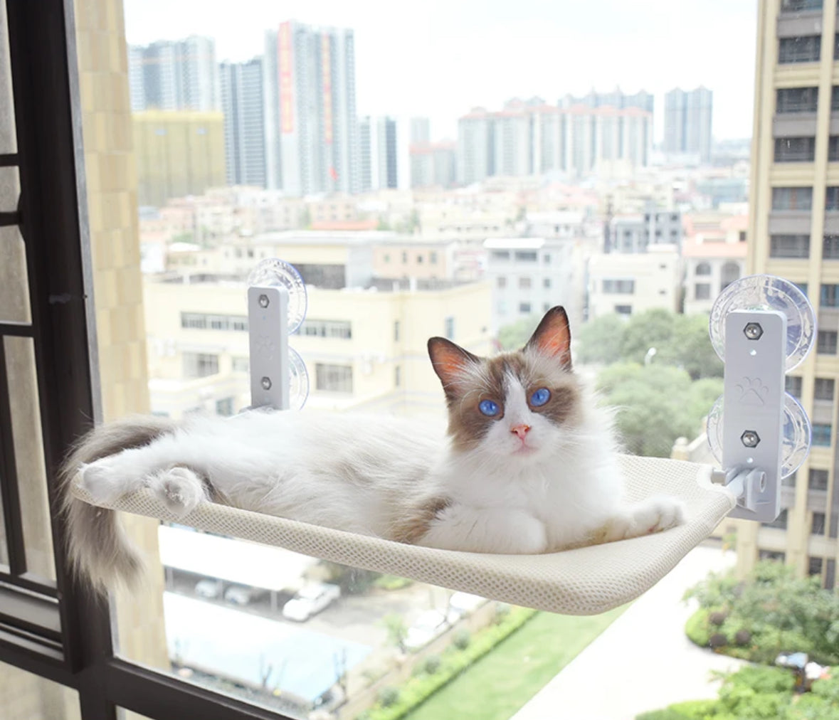 Suporte Transportador para Animais de Estimação