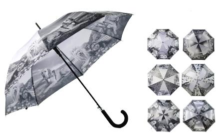 Guarda Chuva - 6625-1